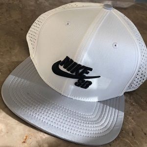 Nike SB Fitted